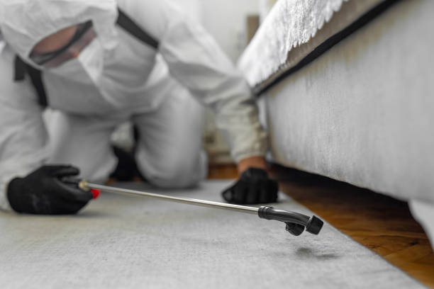 Professional Cockroach Control technician working in Howard, WI