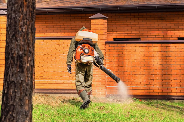 Top rated local Cockroach Control specialists in Howard, WI